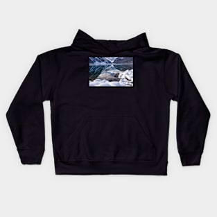 Snow-Framed Reflections Kids Hoodie